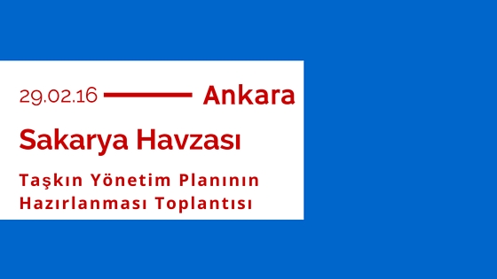 Sakarya Havzası